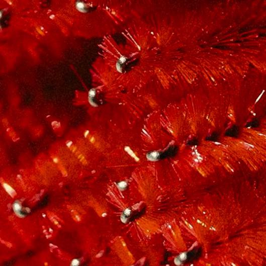 7 Sculpt Pod Wrap Sessions - $222